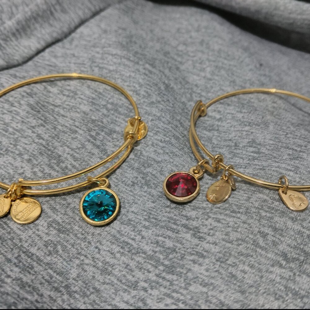 SET OF 2 ALEX AND ANI EXPANDING CHARM BRACELETS GOLD TONE/PLATED